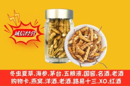 营口西市区回收散虫草
