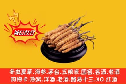 营口西市区名酒回收冬虫夏草.jpg